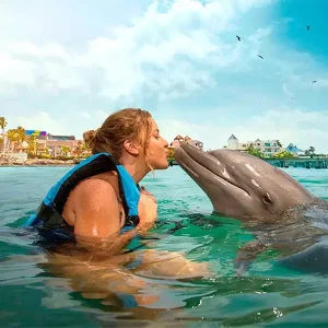 Swim with Dolphins – Private Encounter